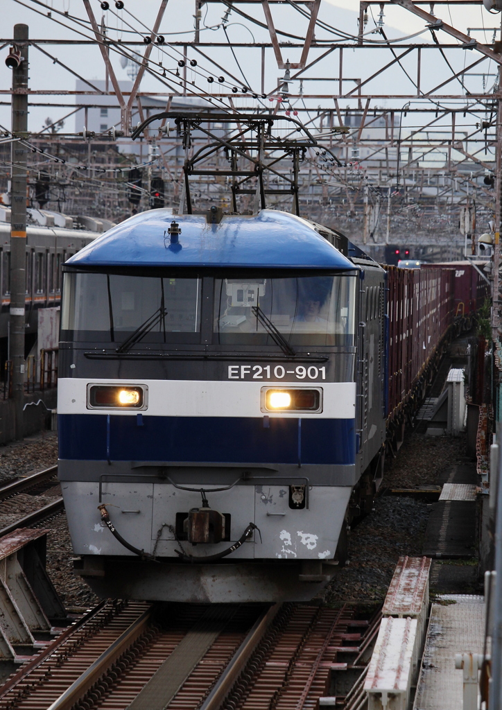 桃太郎、クマイチ