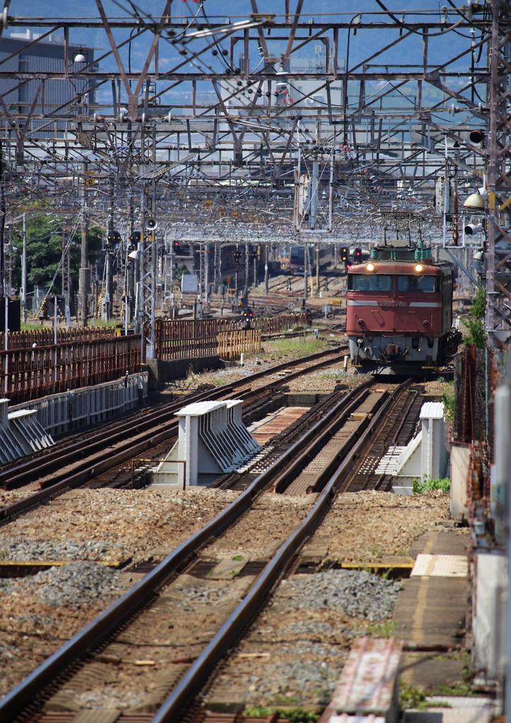 来た!来た!パーイチが来た!!