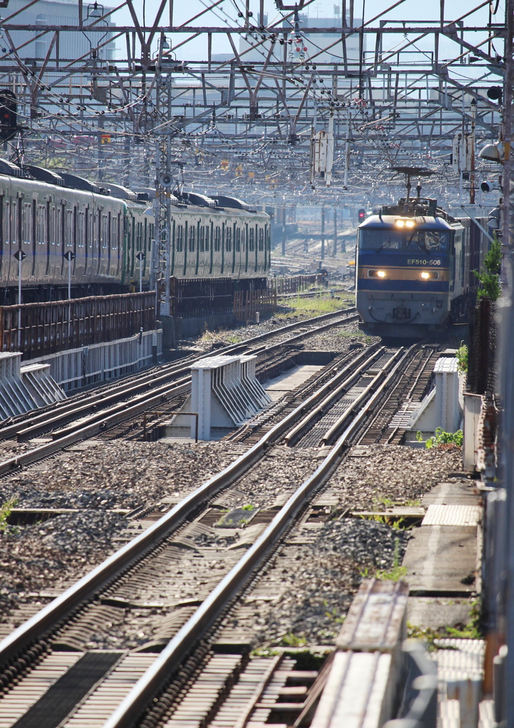 来た!来た!青ゴトーが来た!!
