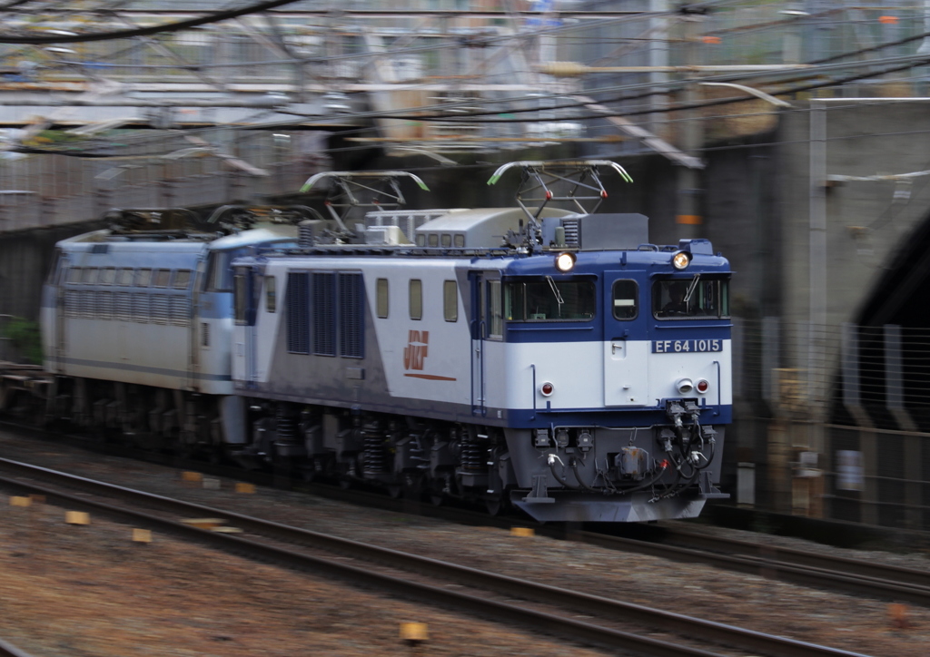 ＥＦ６４ コバンザメ付き