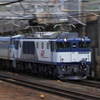 ＥＦ６４ コバンザメ付き