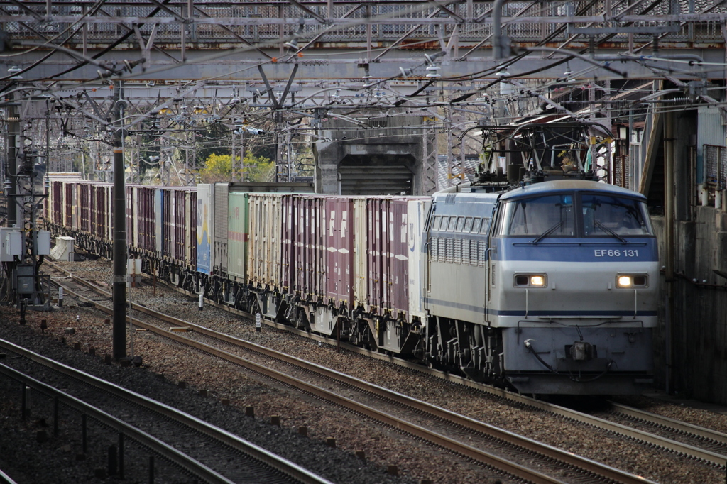 ＥＦ６６　サメ