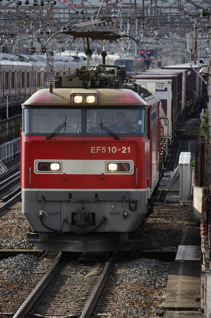 ゴトー赤