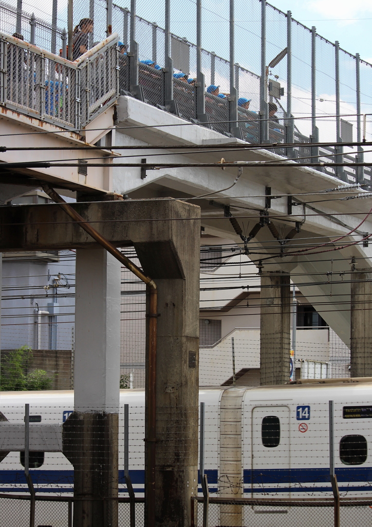 青い帽子のチビッコ応援団。