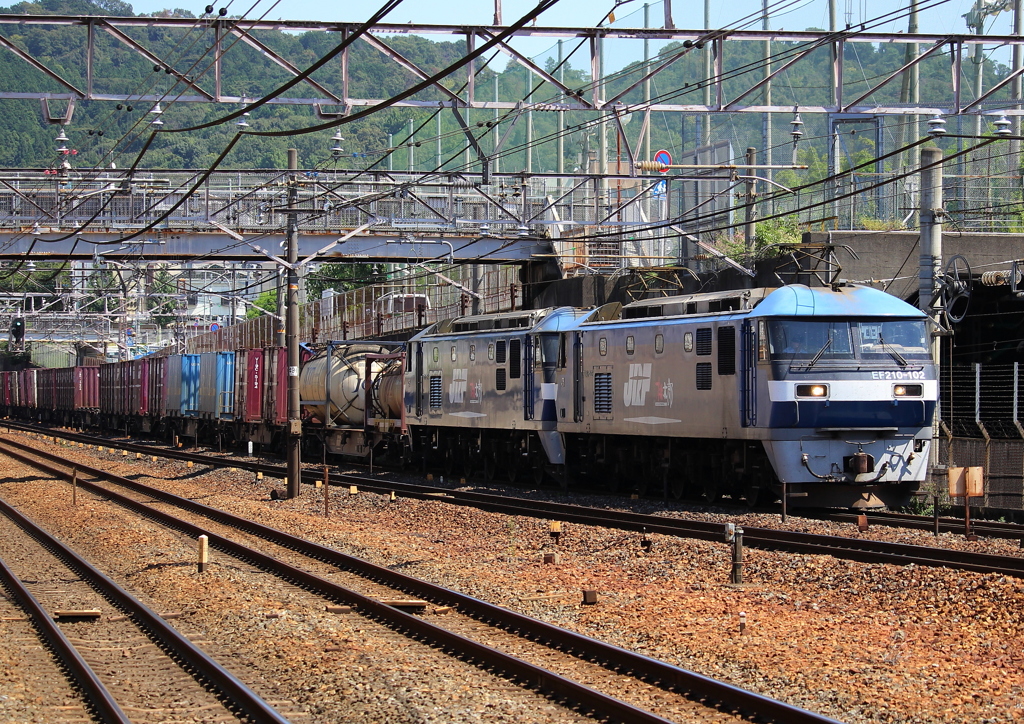 もももも・・・