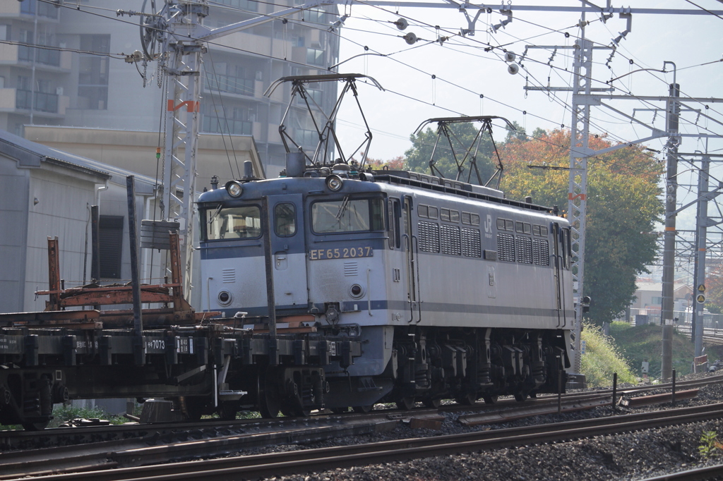 ＥＦ６５ デカパンpartⅡ