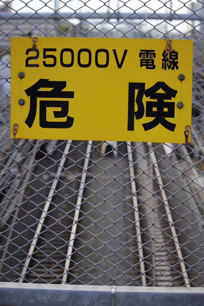 １ヶ月の電気代は、いくらだ!?