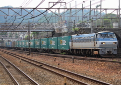 ネコロジーがいっぱい。