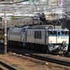 ＥＦ６４ コバンサメ付き
