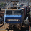 クジラ１５