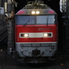 ゴトー赤　