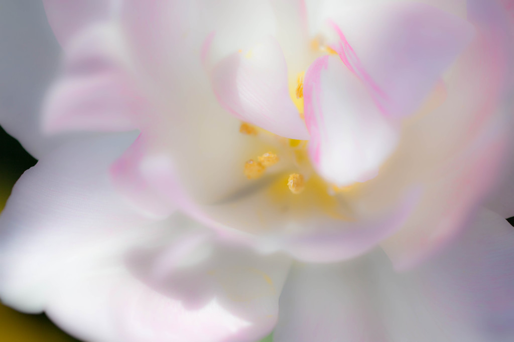 Subtle colors