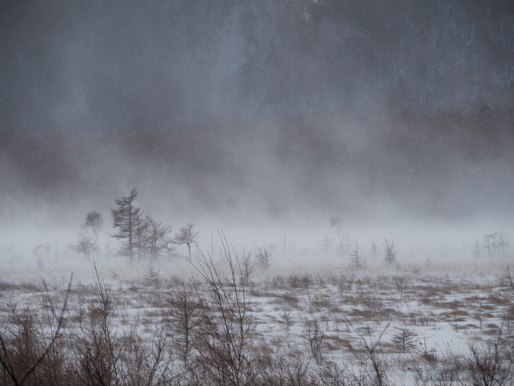 戦場ヶ原の地吹雪　1