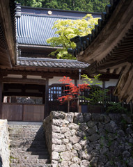 修行の場