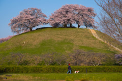 春風受けて