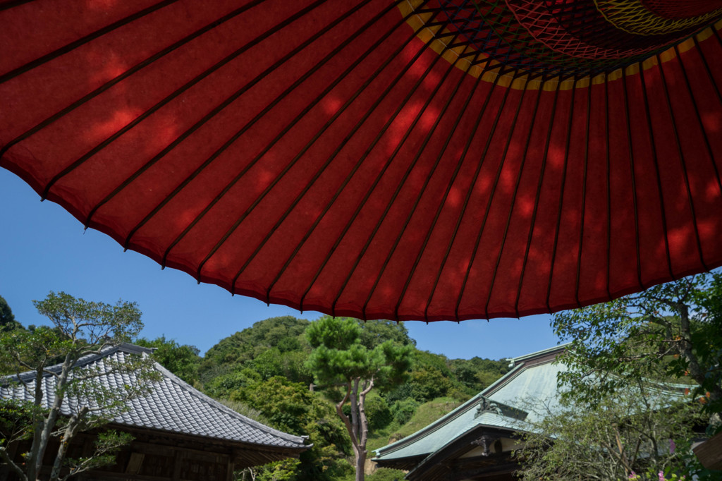 お盆の寺