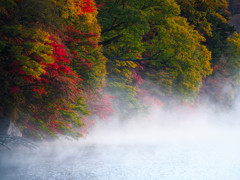 朝もやたちて