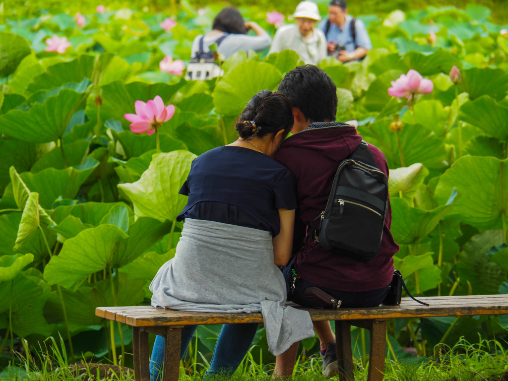 何時かなろうね