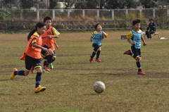 少年サッカー・なでしこ