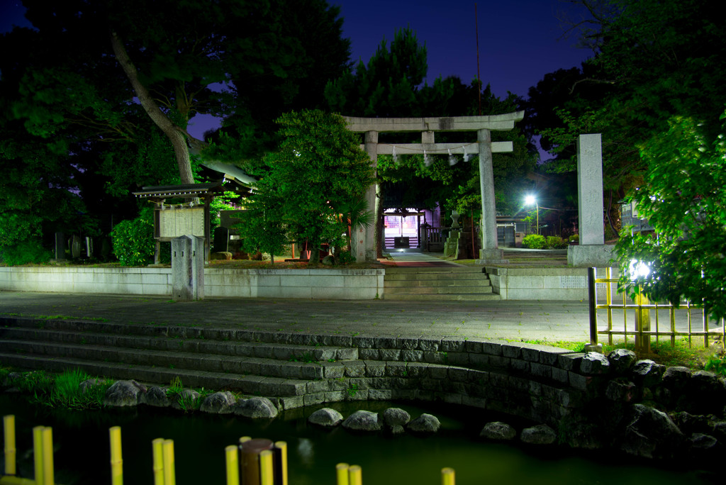 夜の始まり