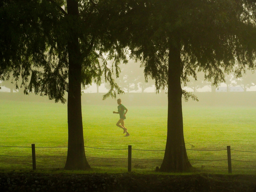 霧中のランナー