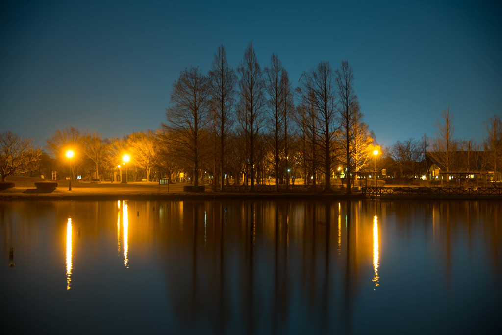 公園夜景2