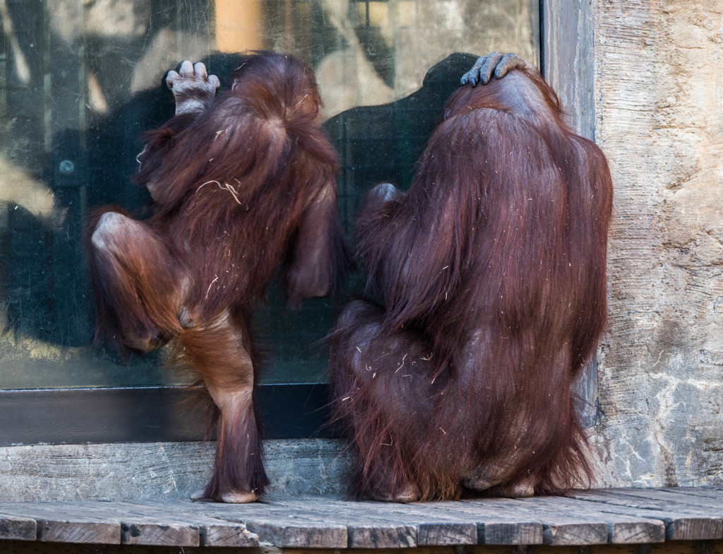 お母さん失敗しちゃったよ