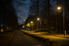 公園夜景1