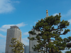 台場の雪つり