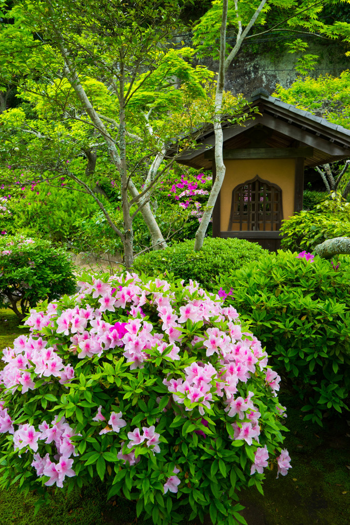 花の寺