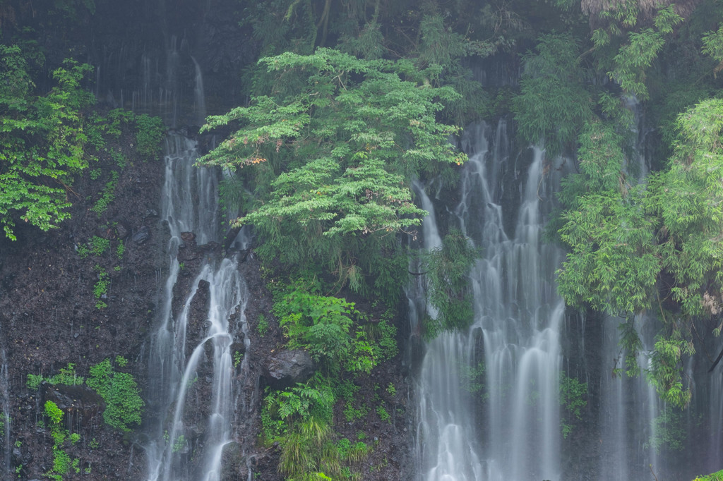 白糸の滝　２