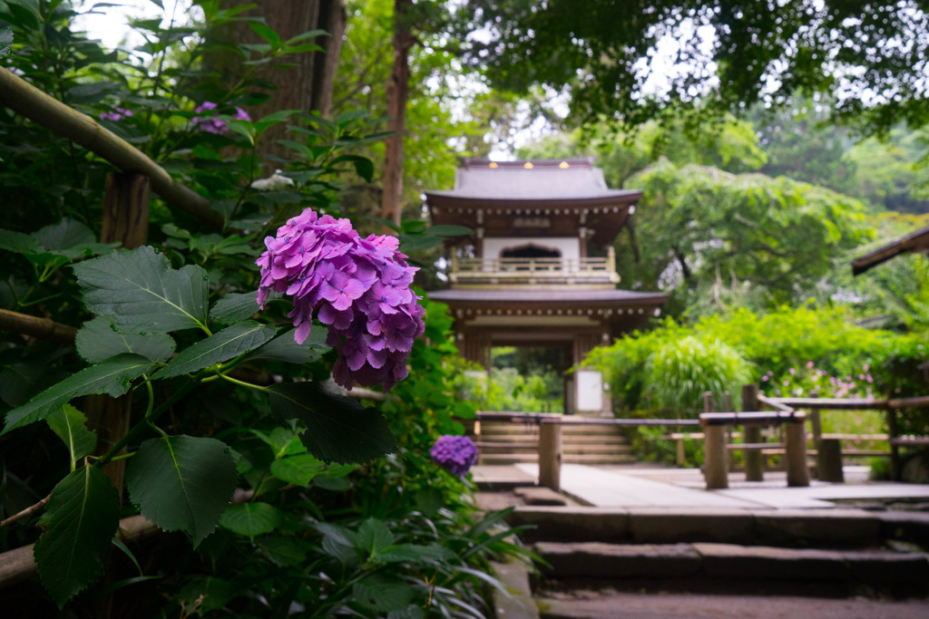 山門の彩り