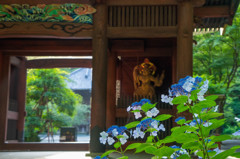 山門を飾る