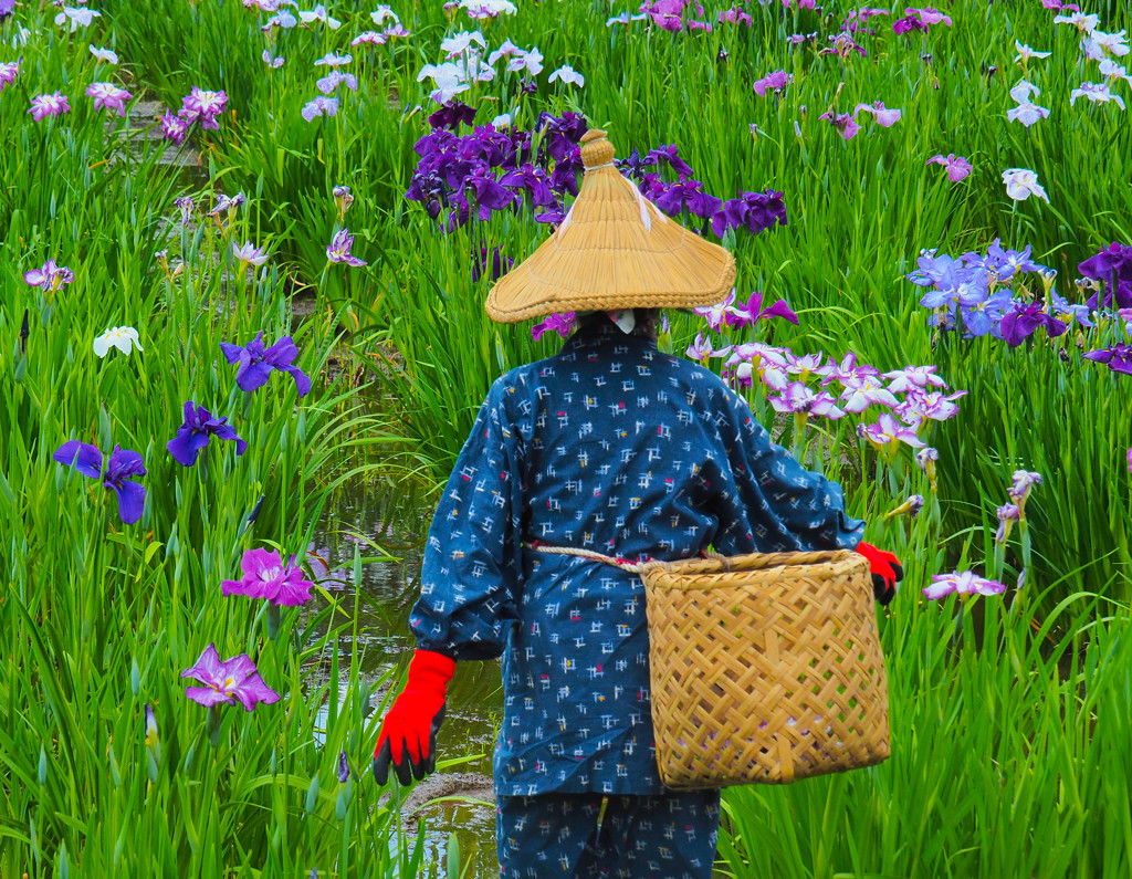 花守