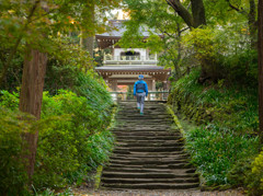 何時もの浄智寺