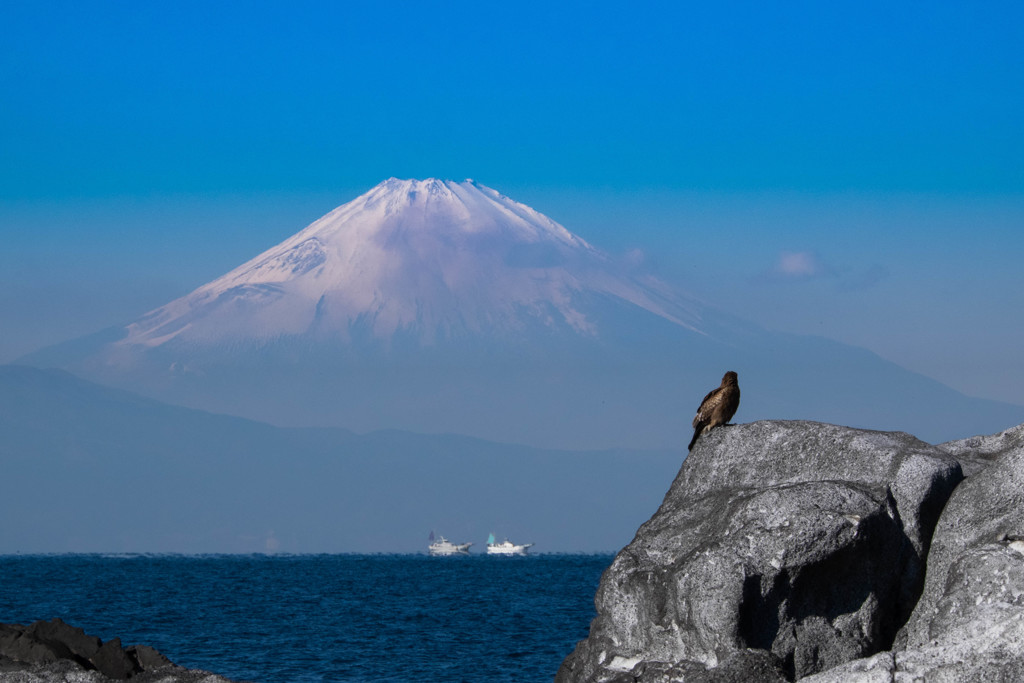 一富士二鷹・・・・・・