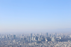 東京の朝