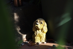 愛犬