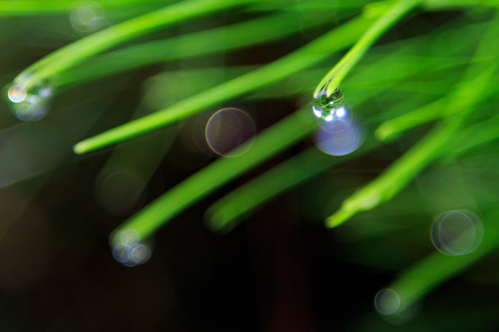 雨上がり