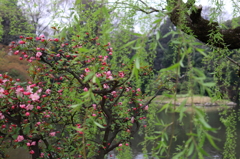 IMG_1942_2
