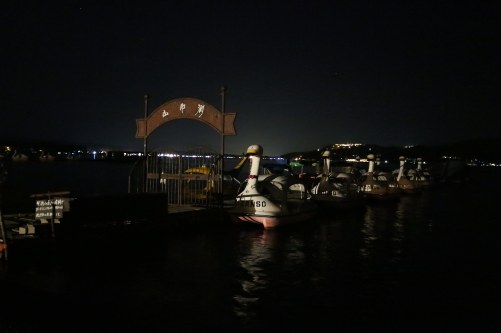 暗闇に浮かぶアヒル達