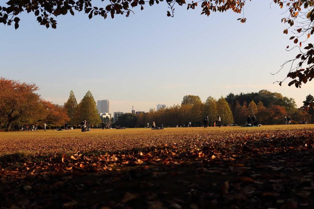 新宿御苑　紅葉