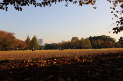 新宿御苑　紅葉