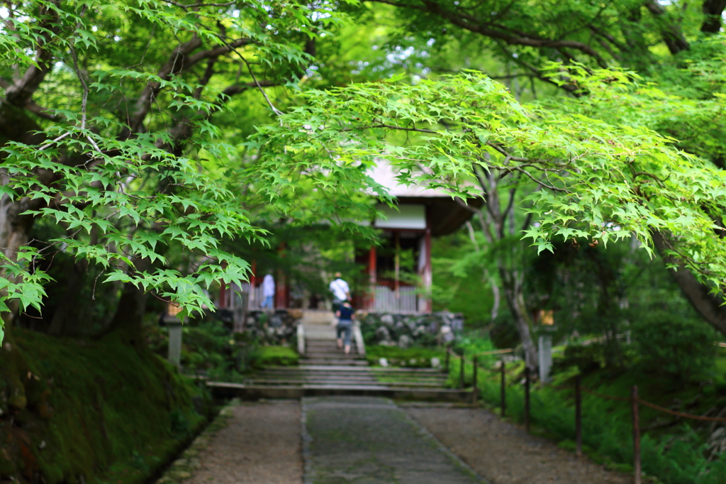 常寂光寺