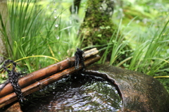 滴る水滴