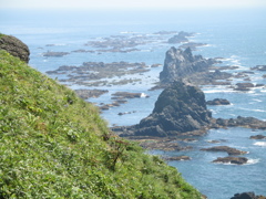 襟裳岬・夏