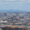 市川からの筑波山