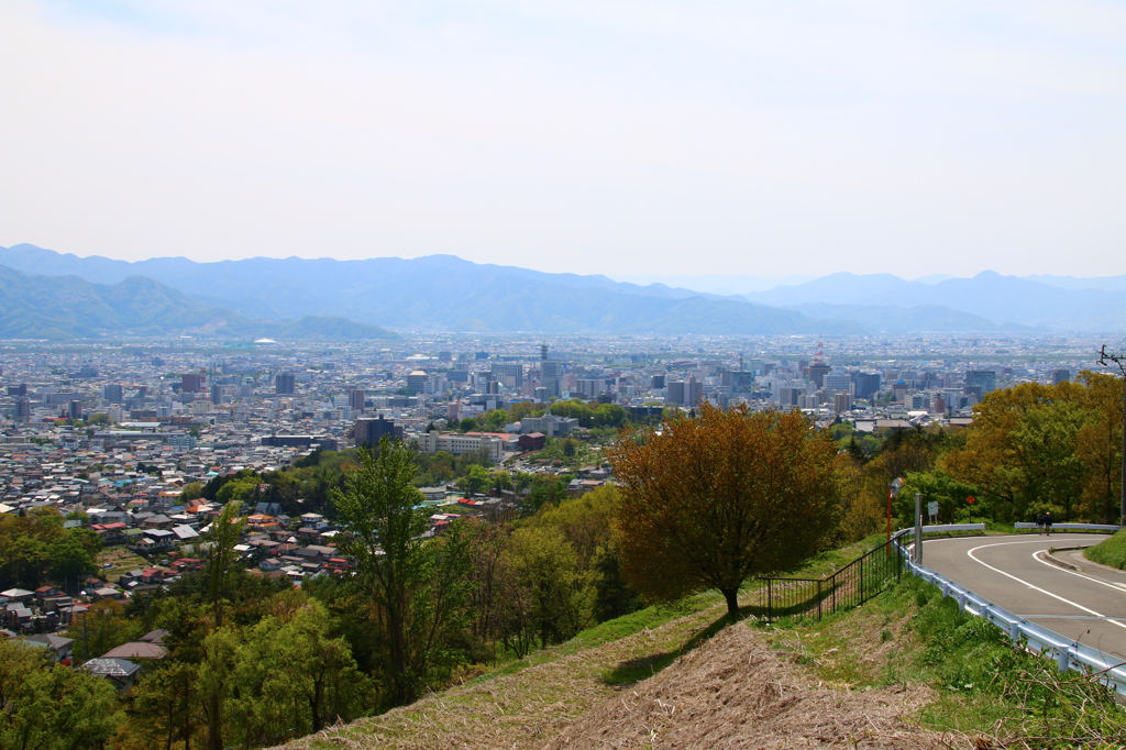 高台の公園