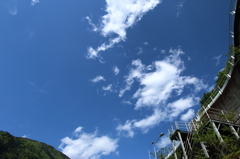Blue & White
