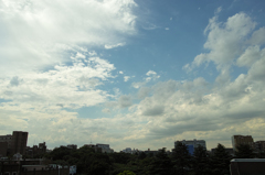 広がる白